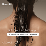 Damage Therapy Shampoo